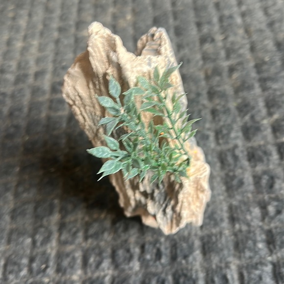 Terrarium Decor-Rocks - Picture 2 of 3